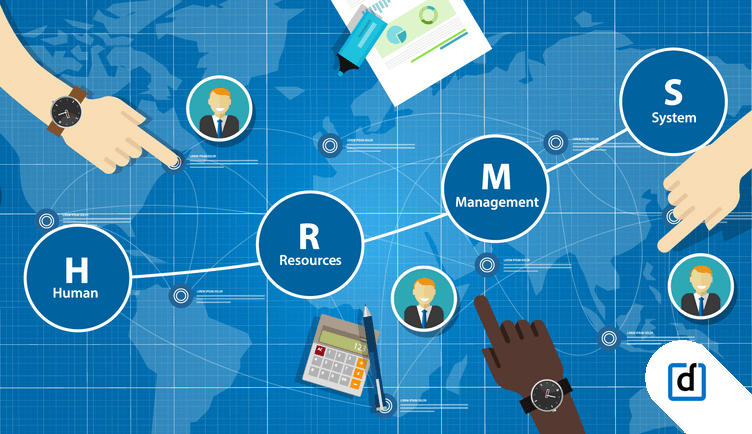 Software for HR Management: 5 Essential HRMS Features