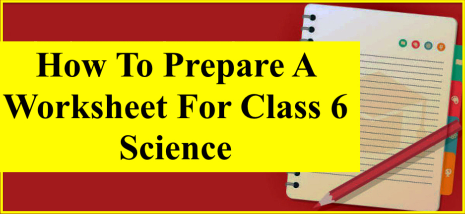 How to prepare a worksheet for class 6 Science