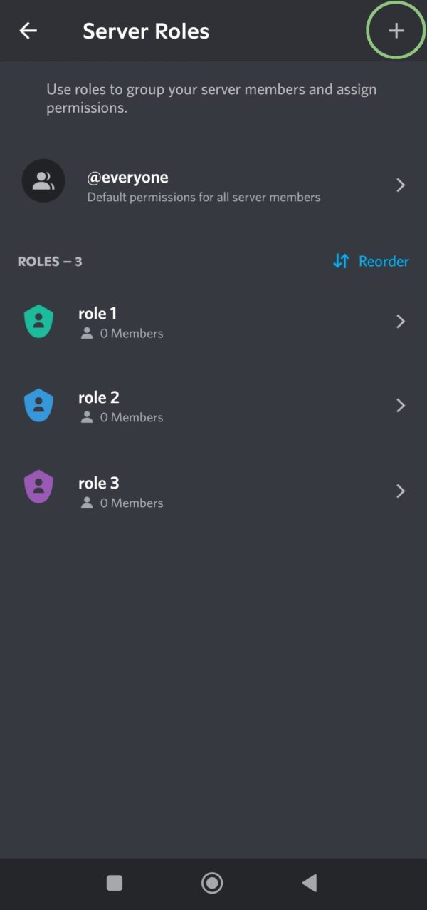 Click the + button to add a new role.