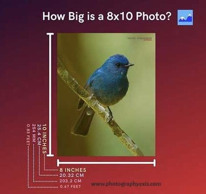 How big is 8x10 picture and how to measure?