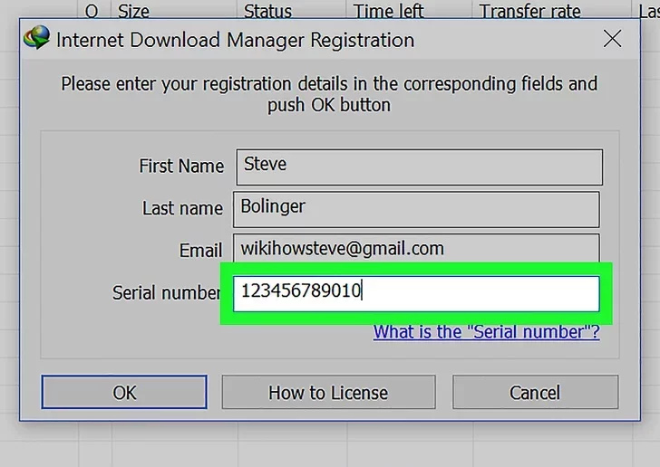 Paste the generated serial number into the appropriate field.