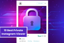 10 Best Private Instagram Viewer