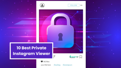 10 Best Private Instagram Viewer