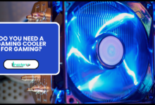 Do You Need a Gaming Cooler For Gaming?