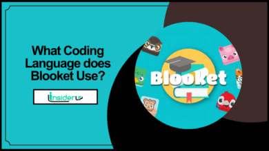 What Coding Language does Blooket Use?