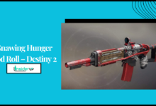 Gnawing Hunger God Roll – Destiny 2