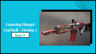 Gnawing Hunger God Roll – Destiny 2