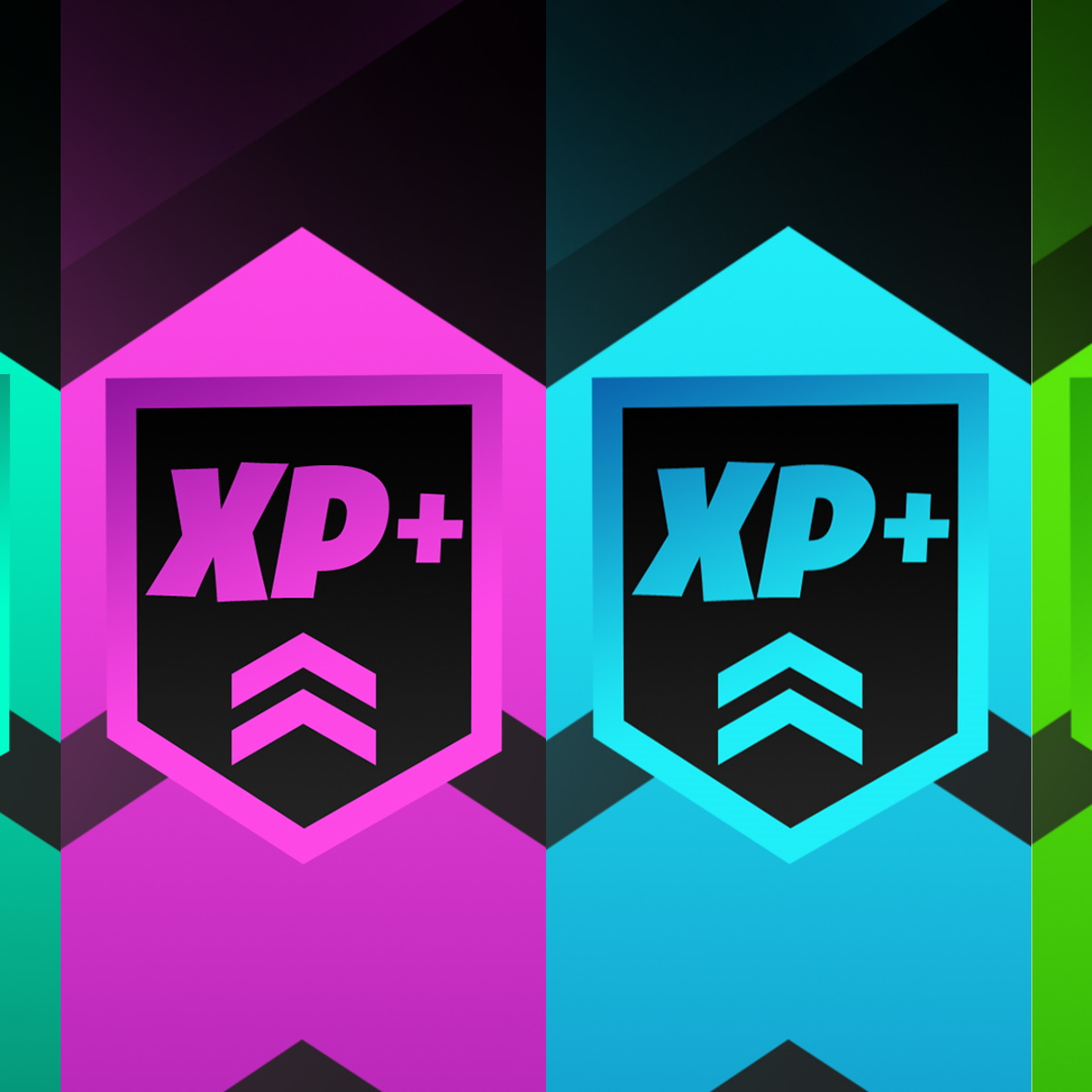 Why is XP Important?