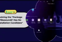 Solving the "Package 'libasound2' Has No Installation Candidate"